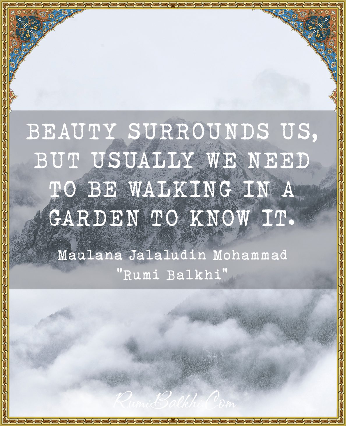 Beauty surrounds us, but usually we need to be walking in a garden to know it