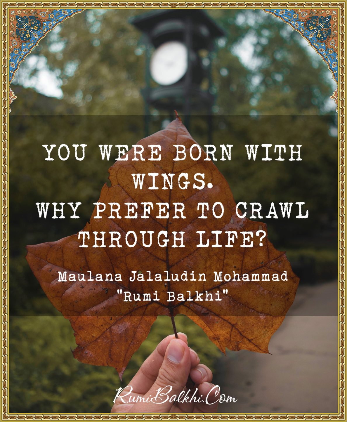 You were born with wings. Why prefer to crawl through life