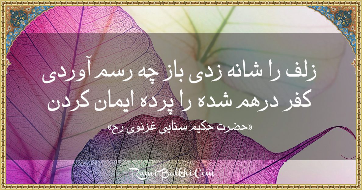 زلف را شانه زدی باز چه رسم آوردی