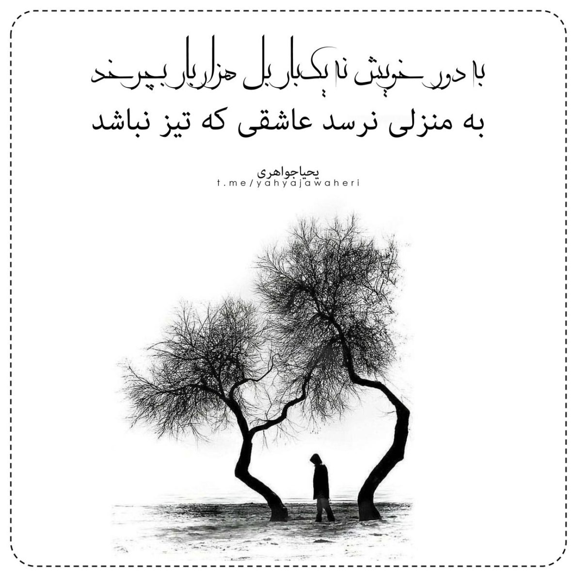 یحیا جواهری 14