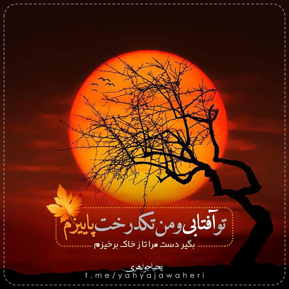 یحیا جواهری 233